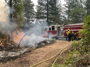 1Wildland2_300